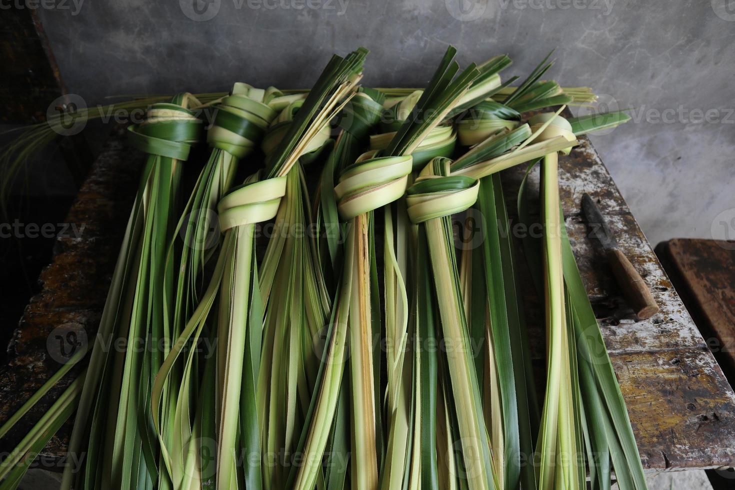 young coconut leaves. young coconut leaves used to make ketupat food