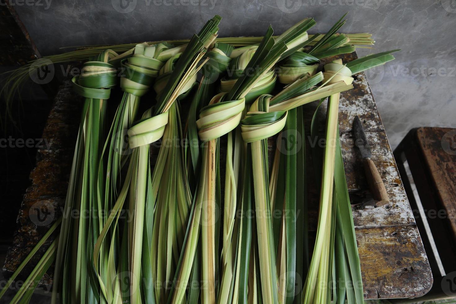 young coconut leaves. young coconut leaves used to make ketupat food
