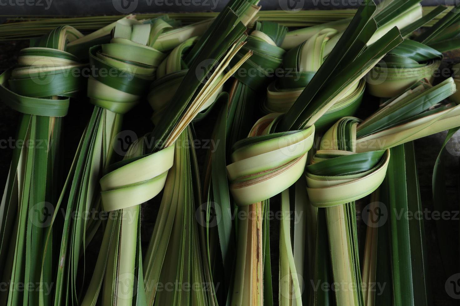 young coconut leaves. young coconut leaves used to make ketupat food
