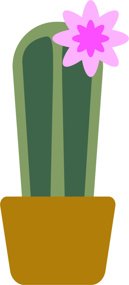 Simplicity cactus plant flat design. png