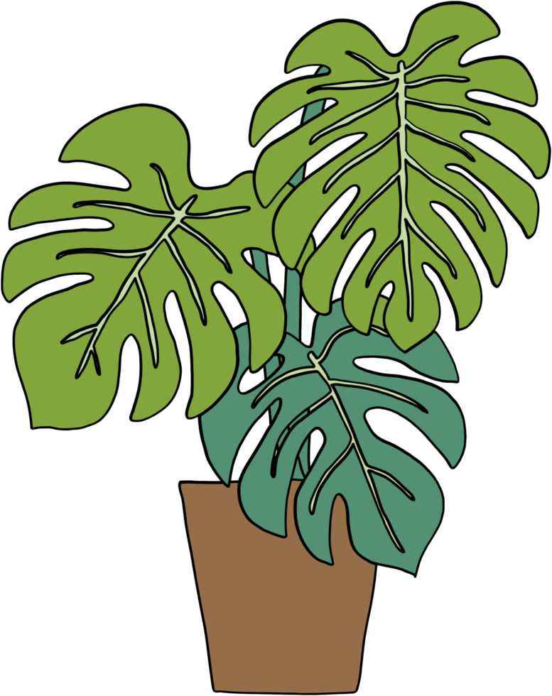 simplicidade monstera planta desenho à mão livre design plano. png