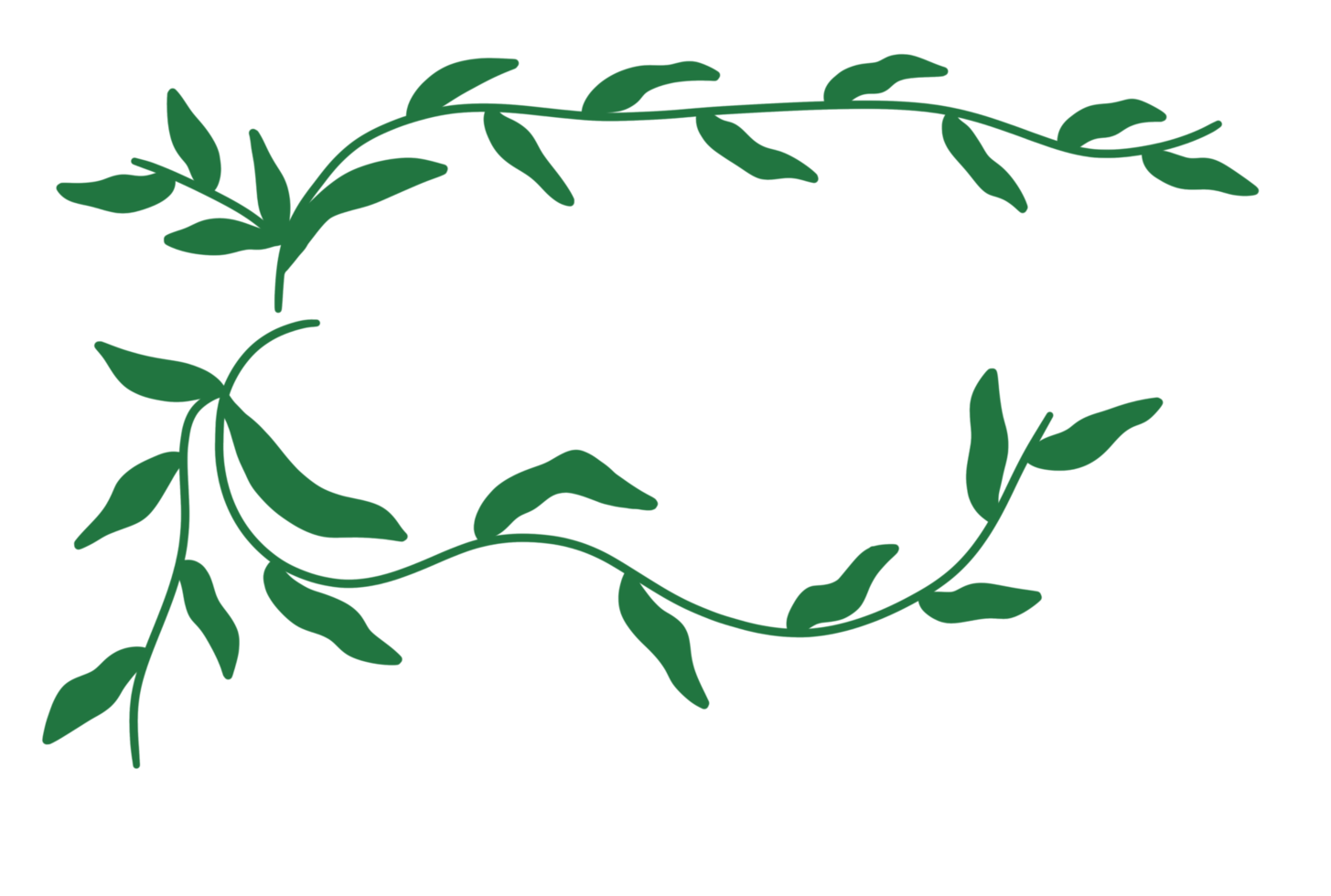 decorative Aesthetic Leaf png