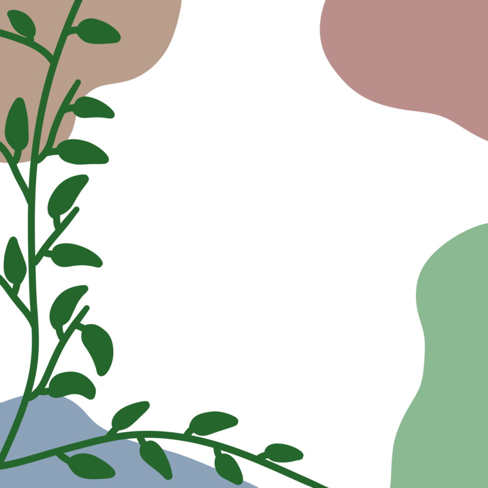 Aesthetic Frame Leaf png