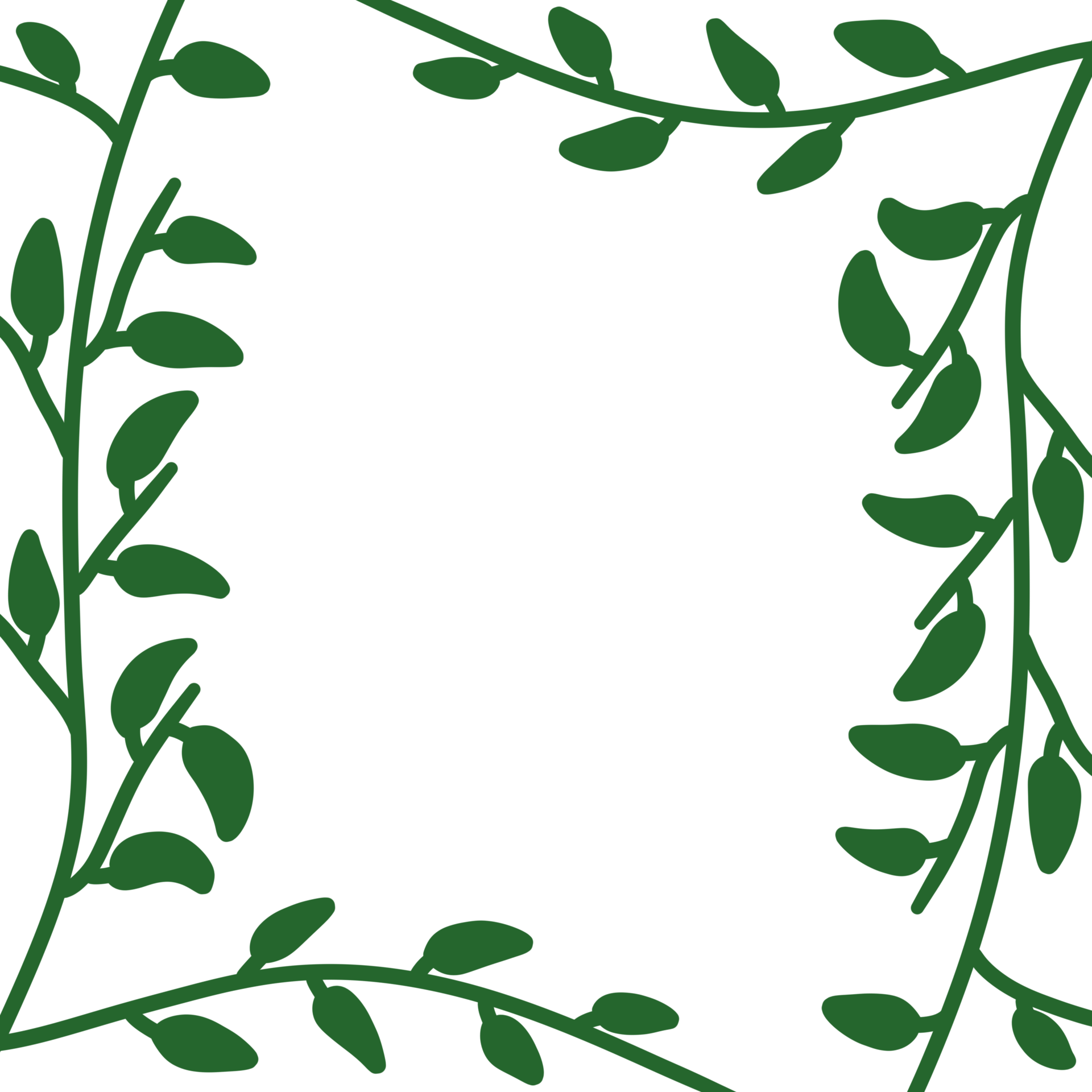 decorative Aesthetic Leaf 11578005 PNG