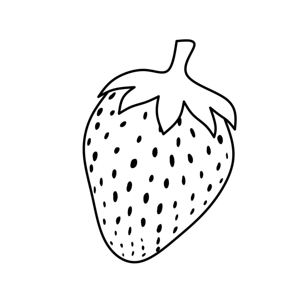 arte de línea vectorial de fruta de fresa en un fondo blanco para colorear, dibujar, etc. vector