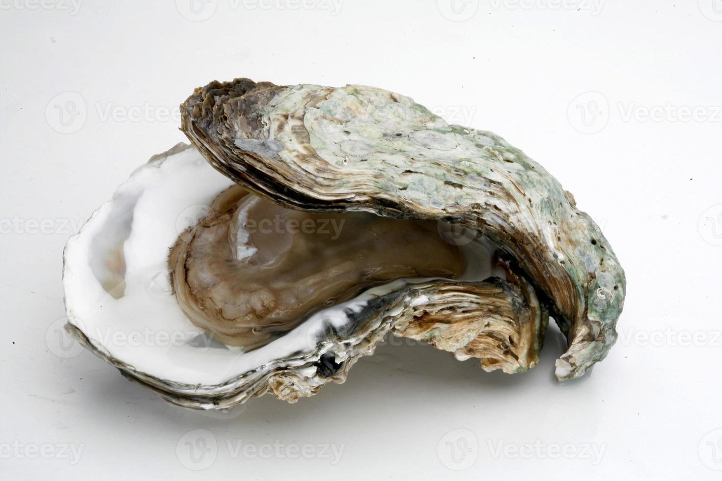 Thai SeaFood Oyster photo