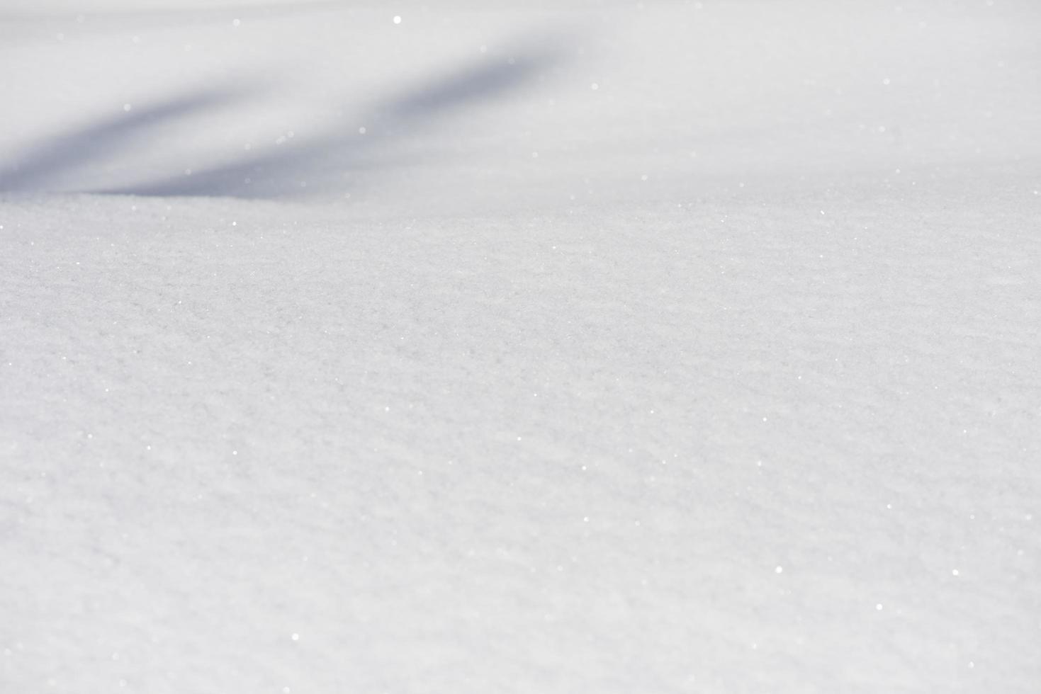 Winter snow background photo