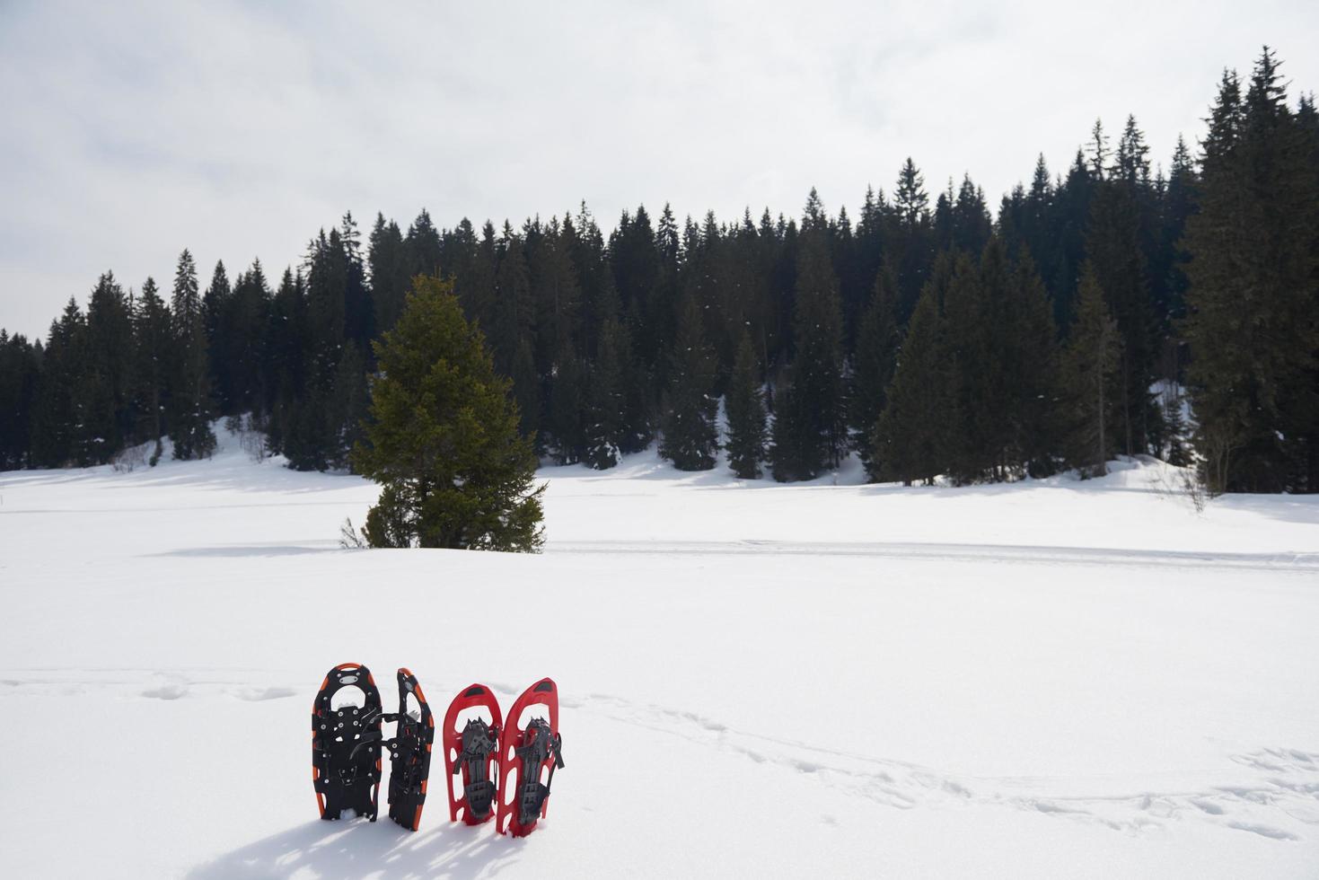 winter snowshoes view photo