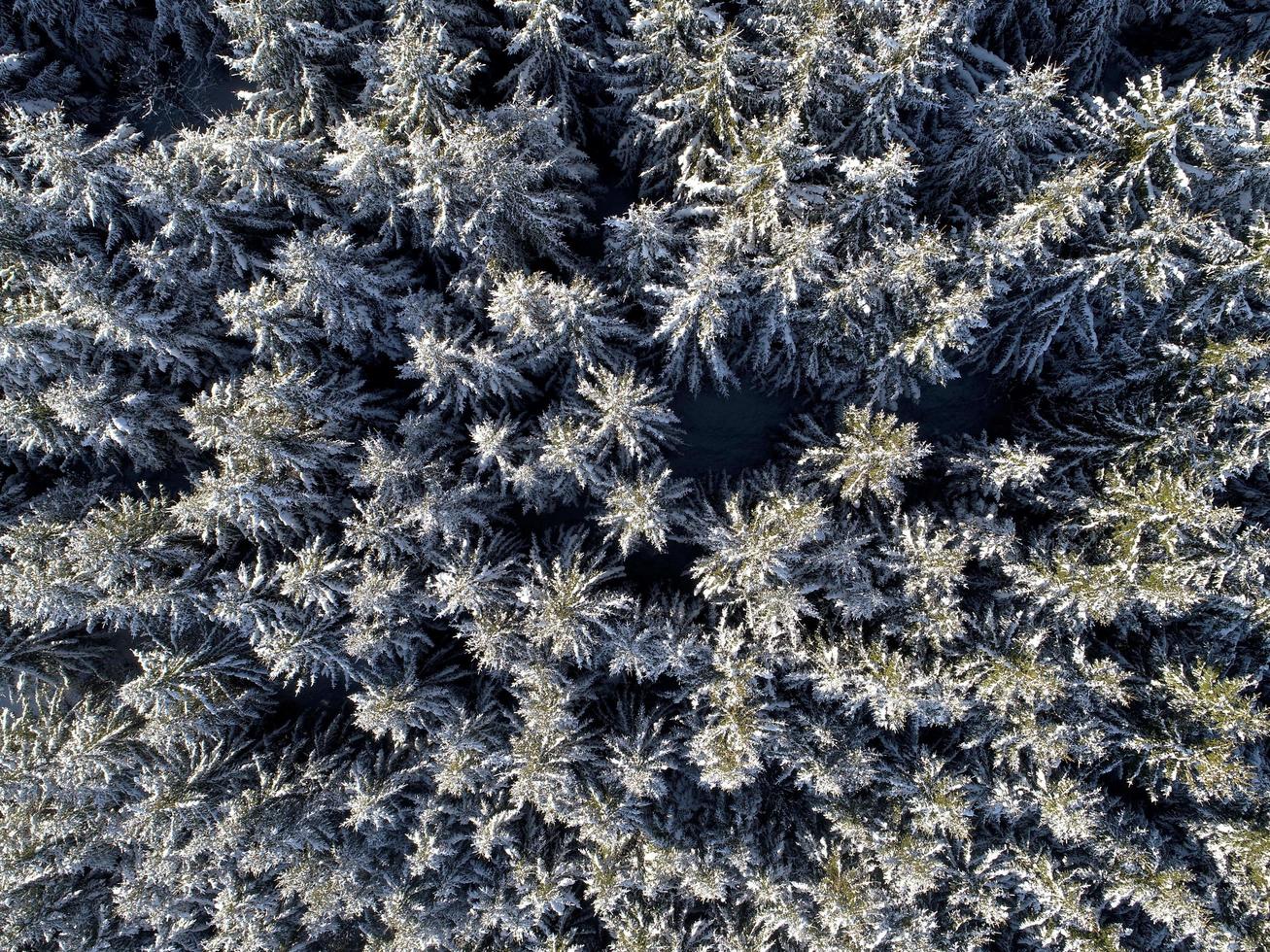 Winter landscape view photo