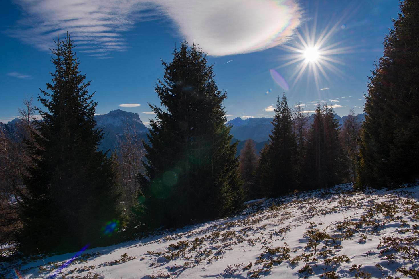 vista del paisaje de invierno foto