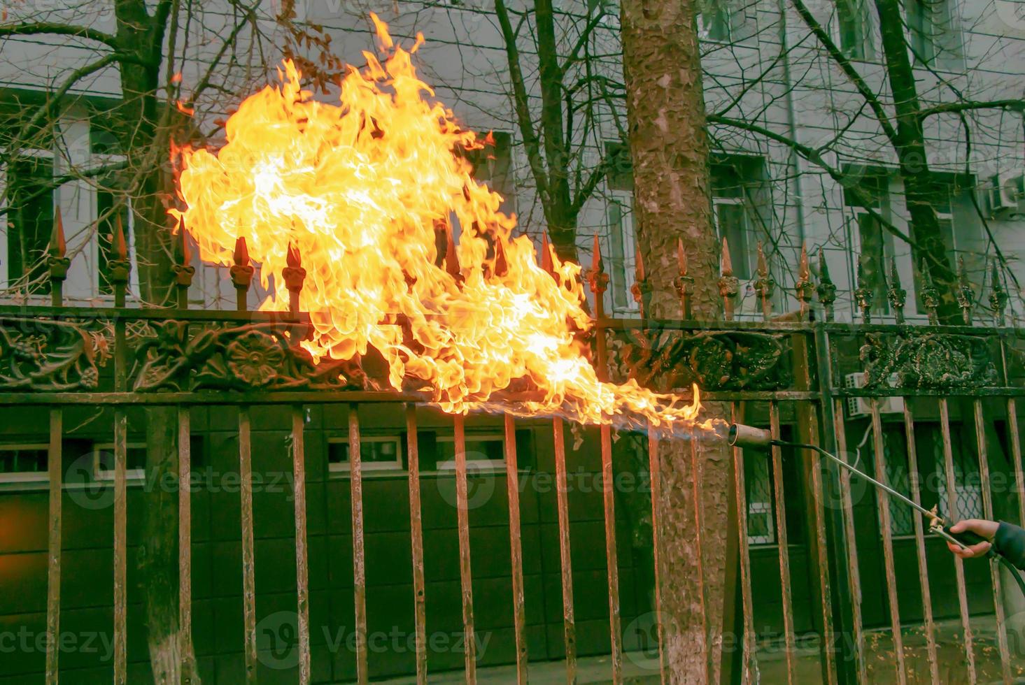 A worker cleans old paint from a metal fence using fire. A man's hand holds a gas burner with a lit flame photo
