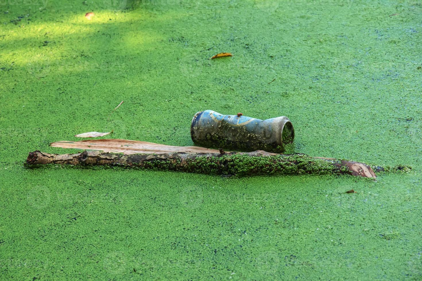 Duckweed and plastic, tin, rubber garbage in the river. The concept of the ecological problem of environmental pollution. photo