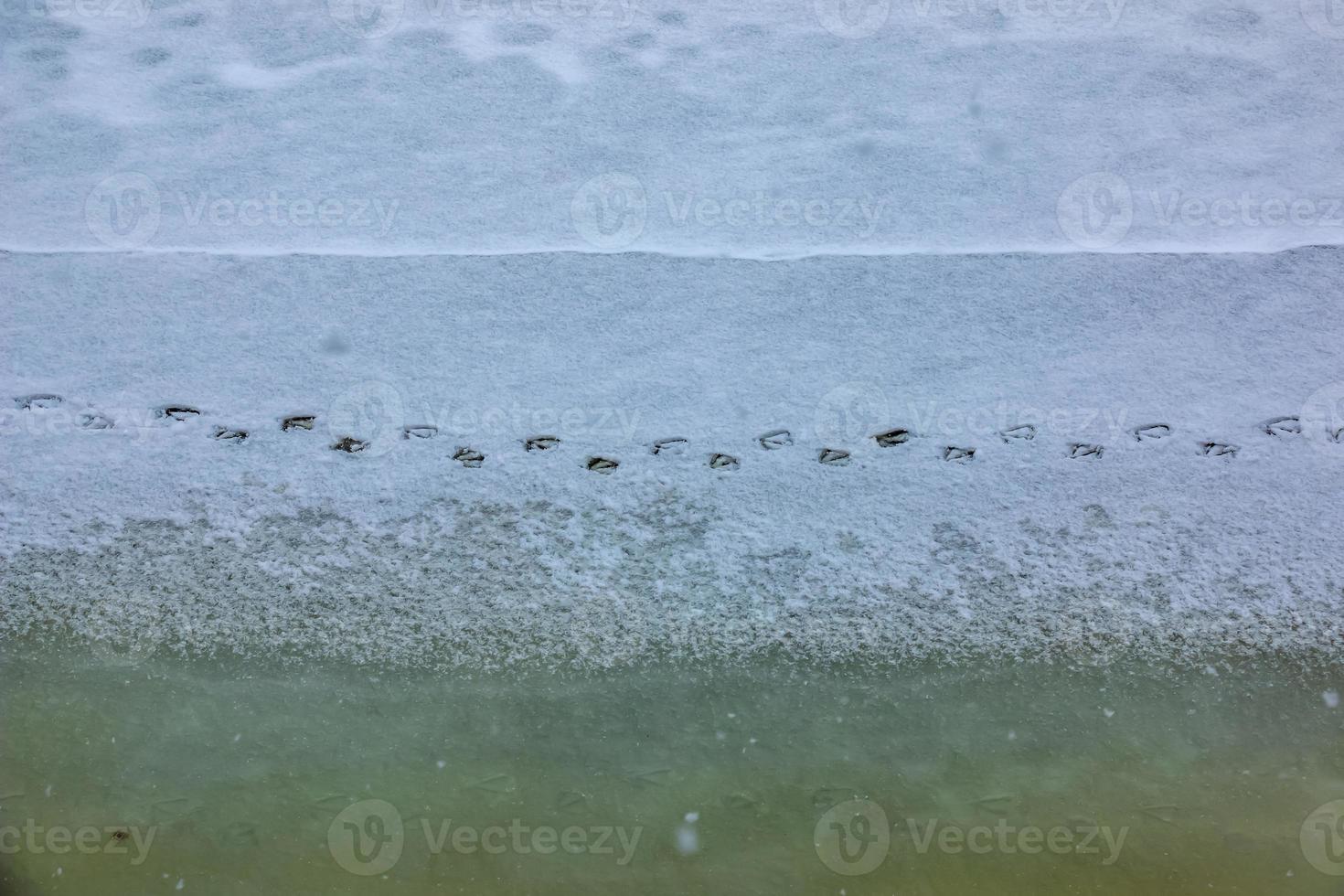 Background of the icy surface of the river with traces of a bird. Texture of ice covered with snow. Winter background. photo