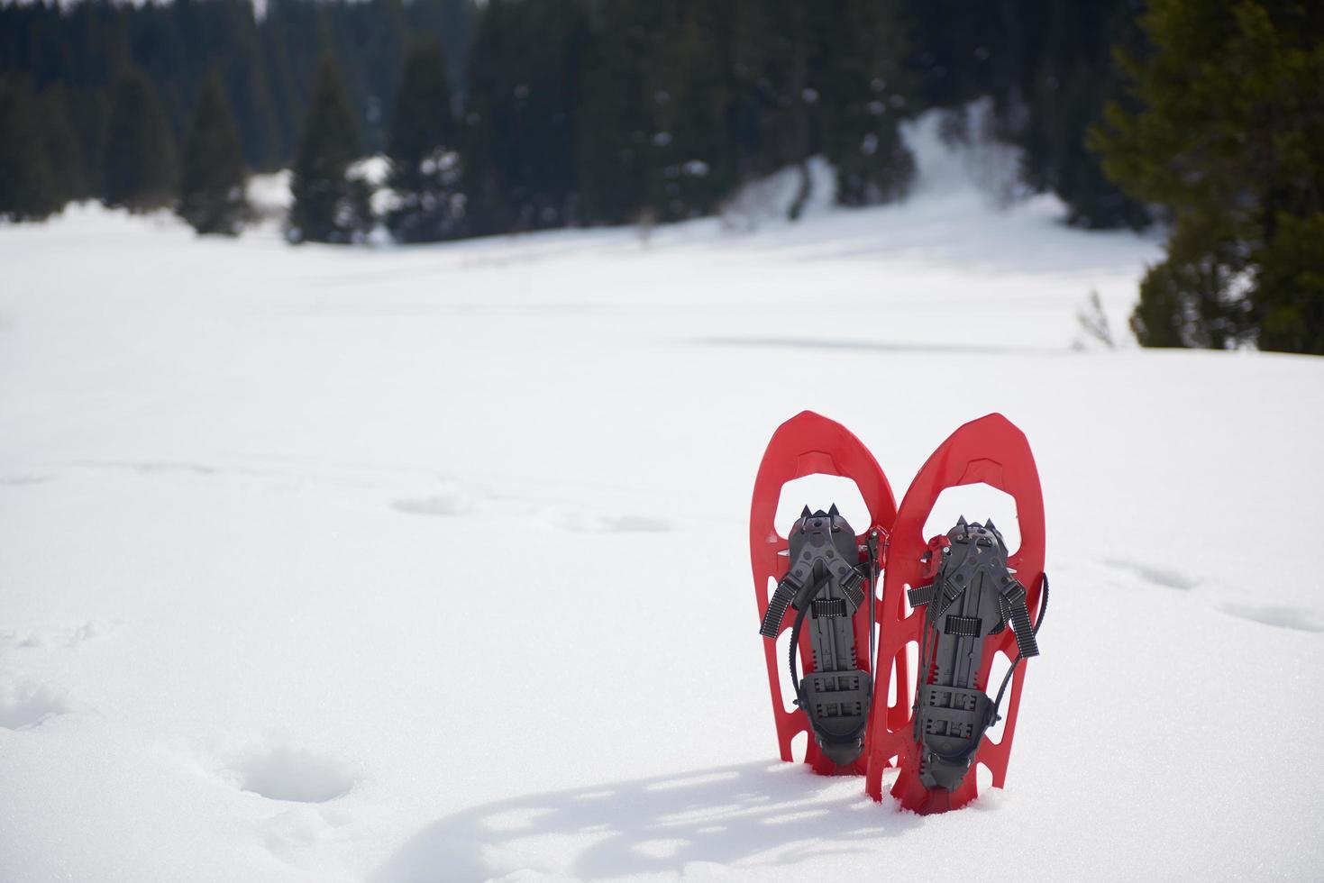 Winter snowshoes view photo