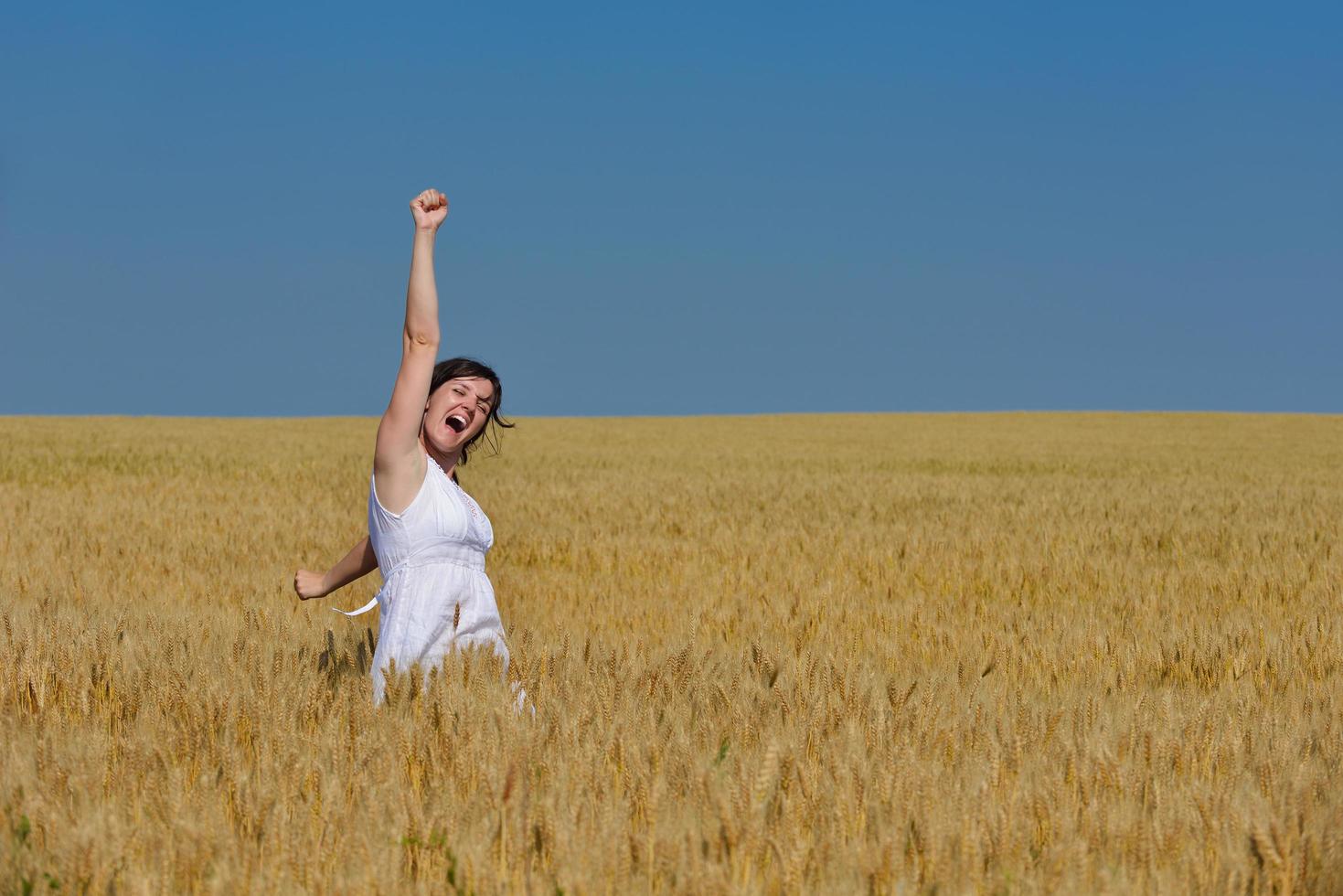 young woman in wheat field at summer photo