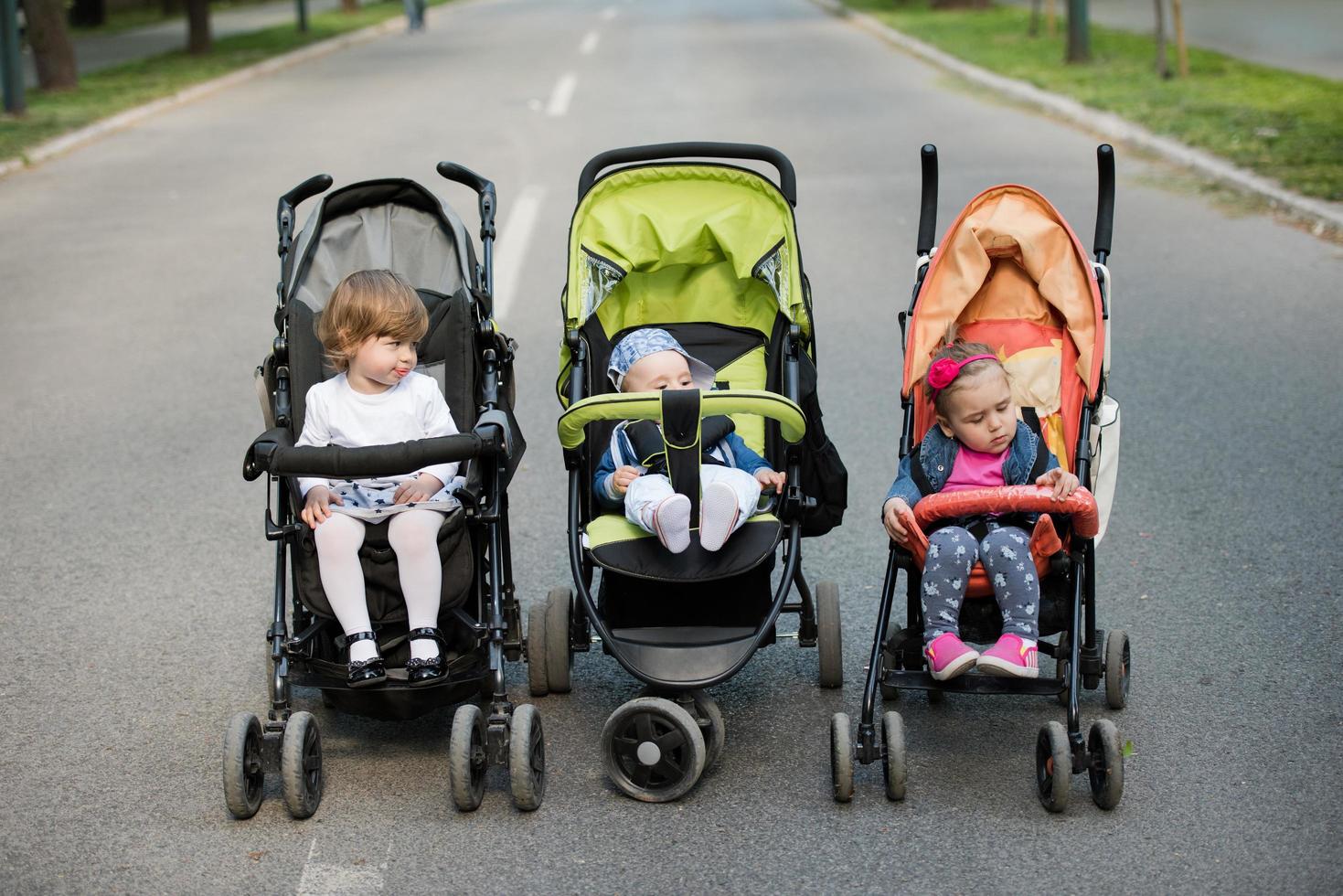 babies in the park photo