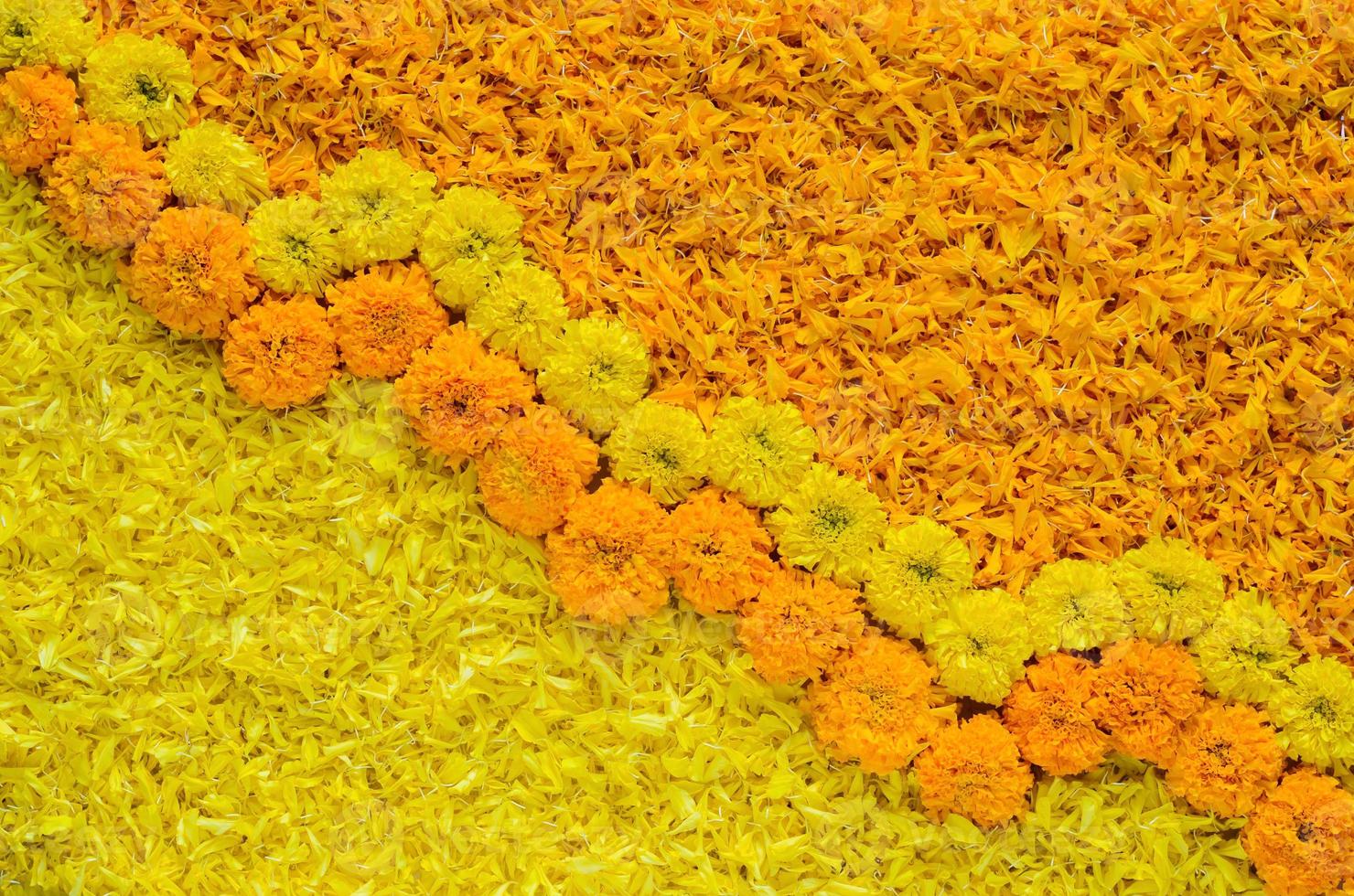 Decorative yellow and orange color marigold flowers and petals rangoli for Diwali festival. photo