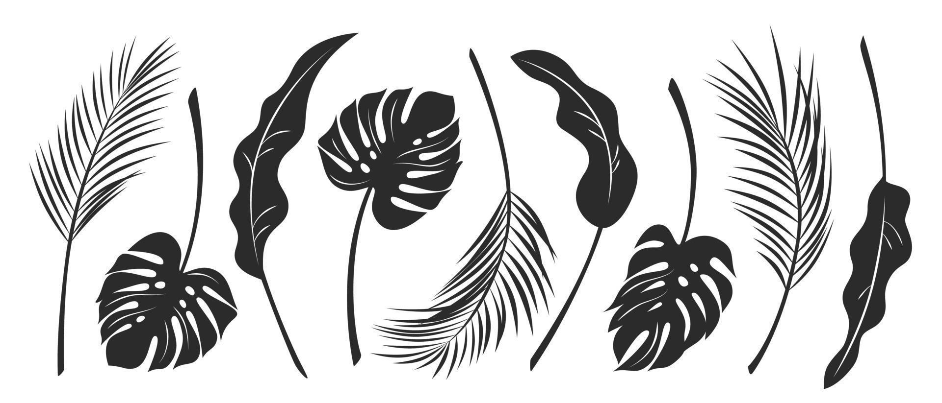 Palm leaves. Black and white vector illustration