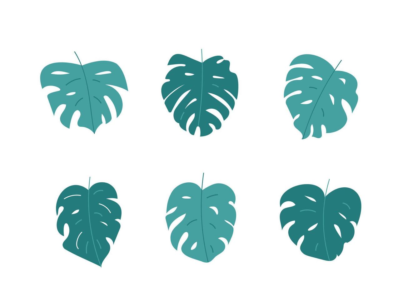 Monstera leaves illustration on white background vector