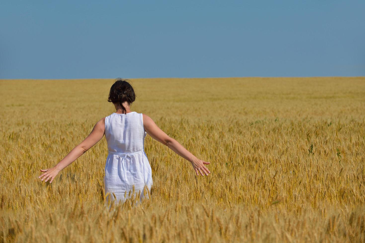 mujer joven en campo de trigo en verano foto