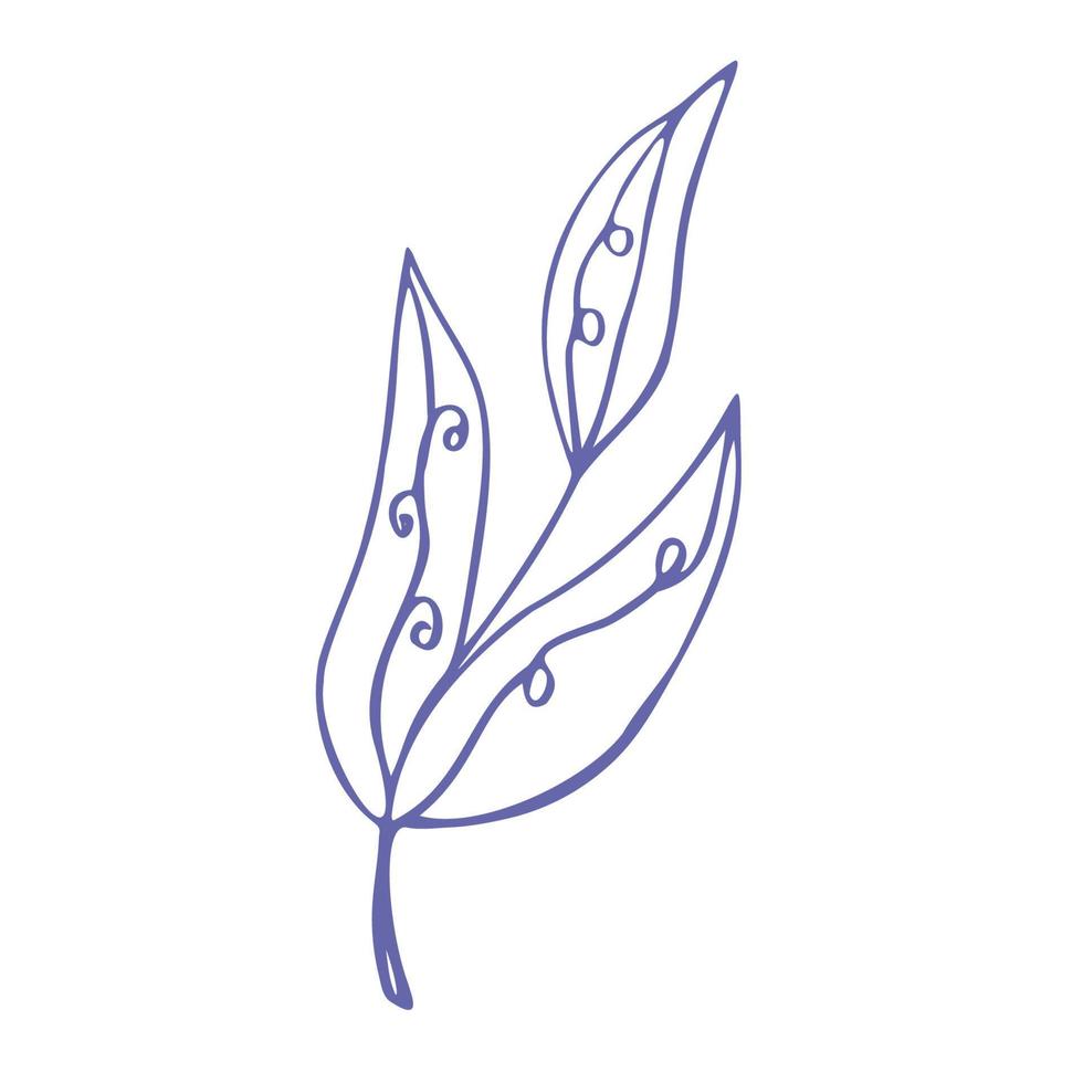 A twig with leaves and curls for the design of postcards vector