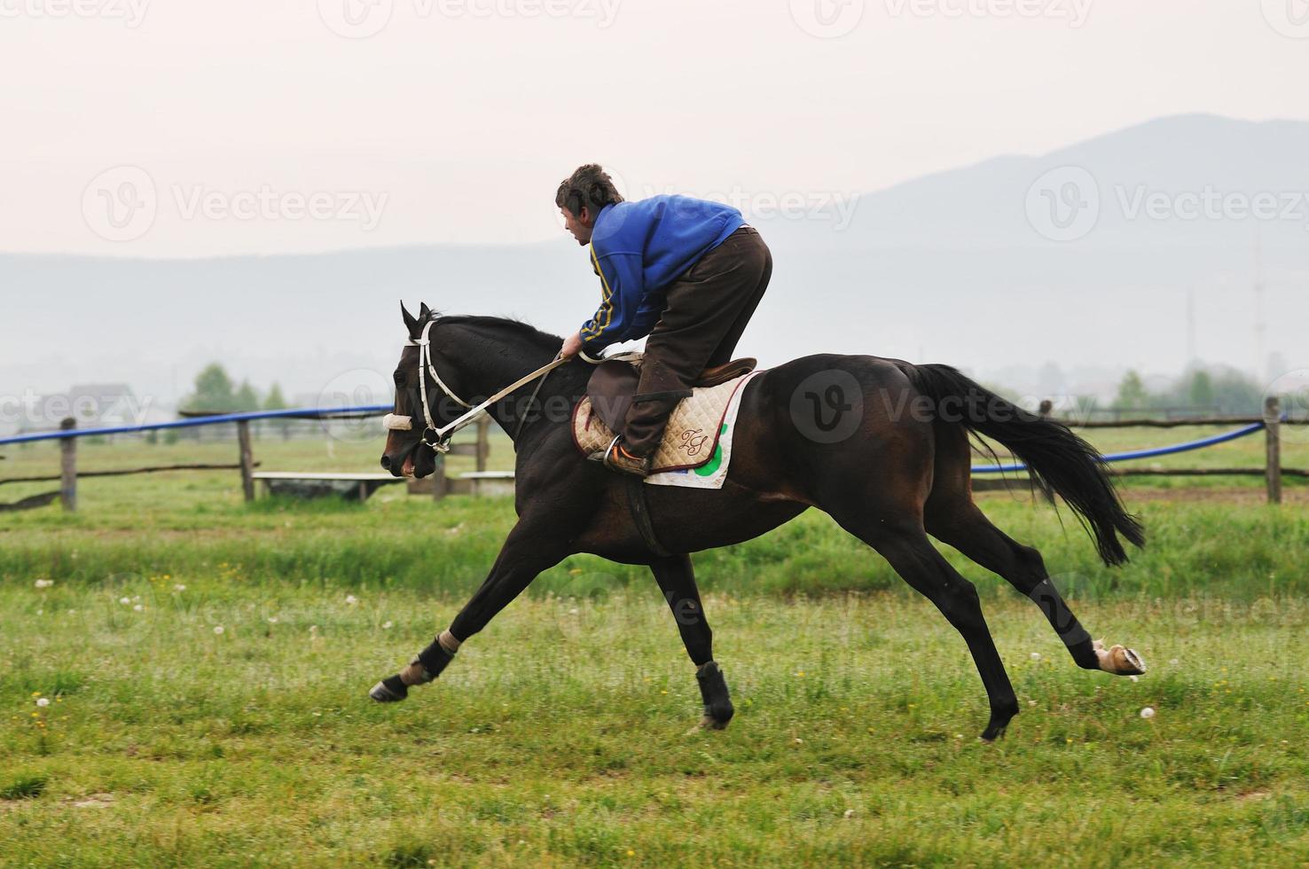 Horse race view photo