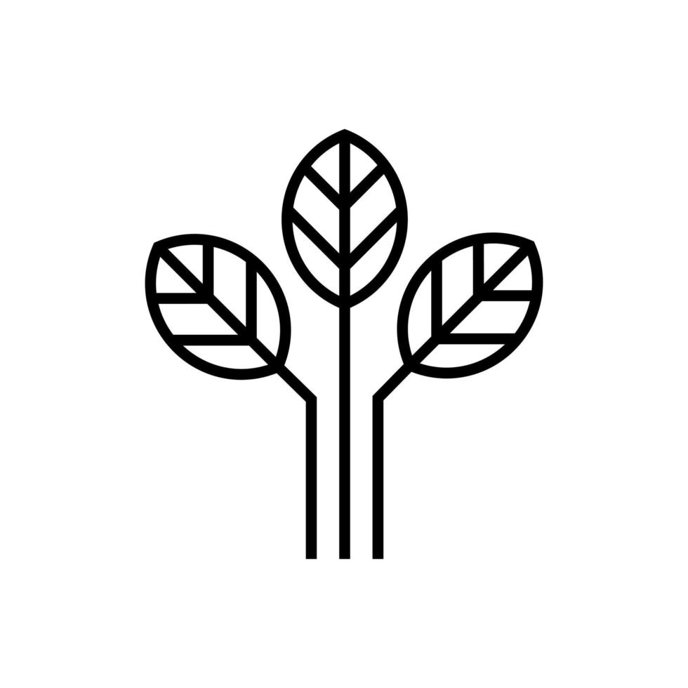leaf, plant icon vector