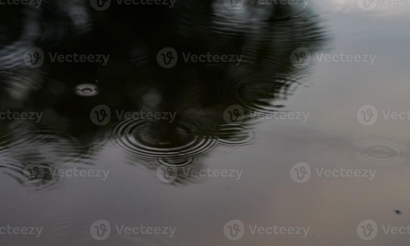 The rain drops on the surface of the pond with the reflection of the blue sky as if feeling sad or lonely. photo