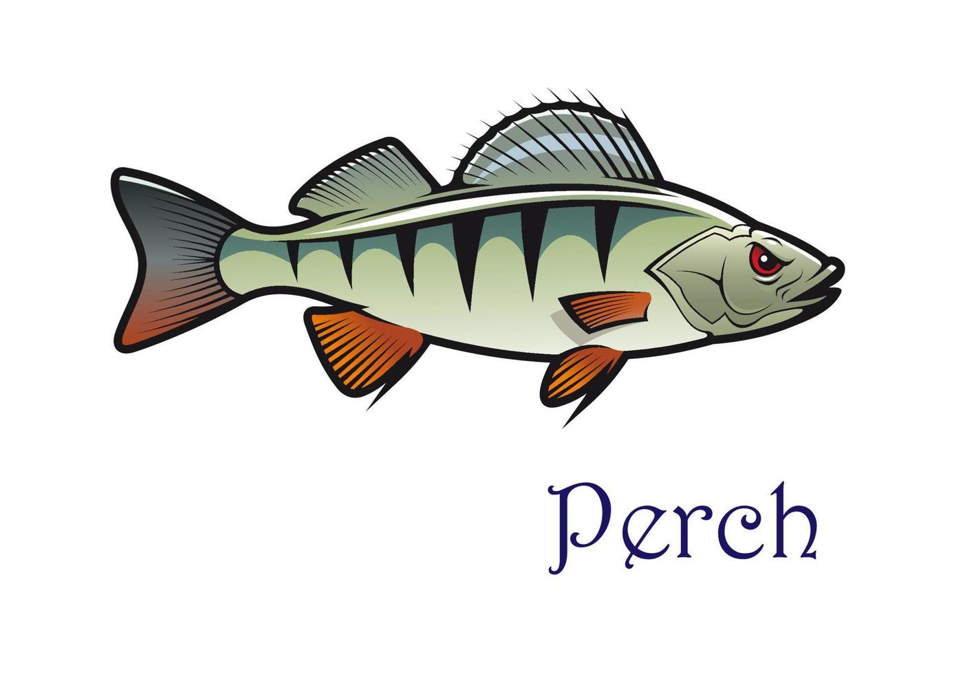 Cartoon perch fish character vector