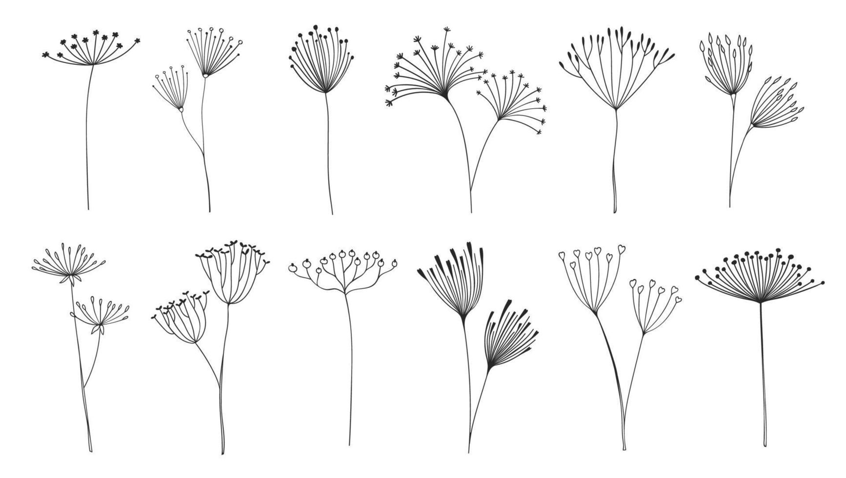Outline floral twigs and sprigs, umbrella flowers vector