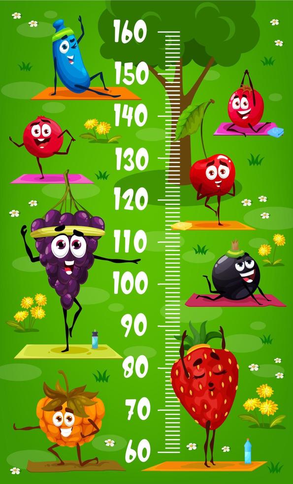 Kids height chart with cartoon berries on yoga vector