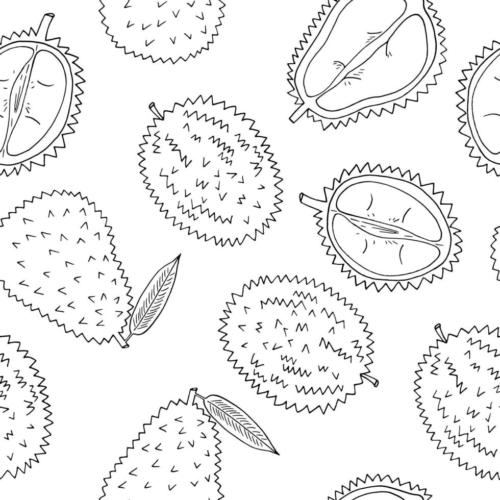 durian fruit seamless pattern hand drawn in doodle style. wrapping paper, background, wallpaper, textile vector