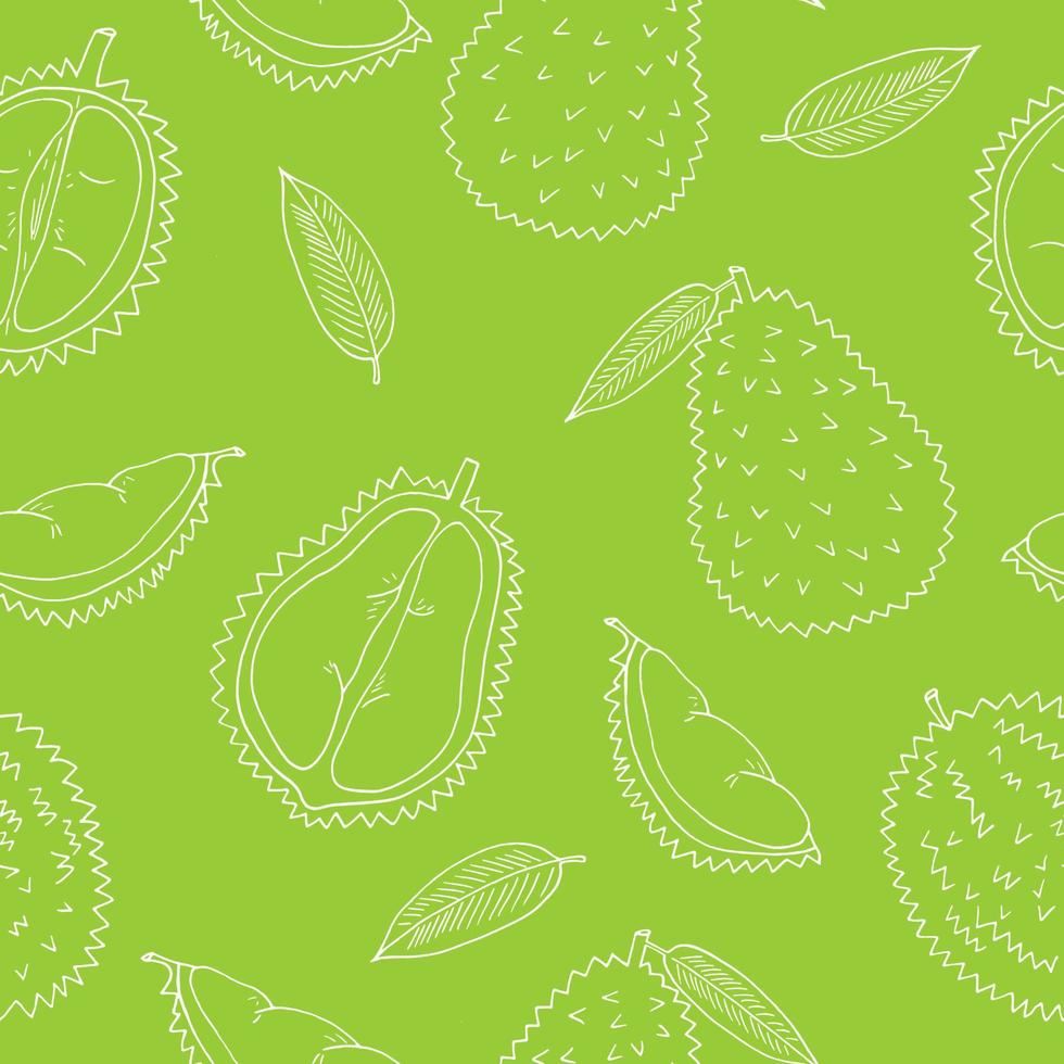 durian fruit seamless pattern hand drawn in doodle style. wrapping paper, background, wallpaper, textile vector