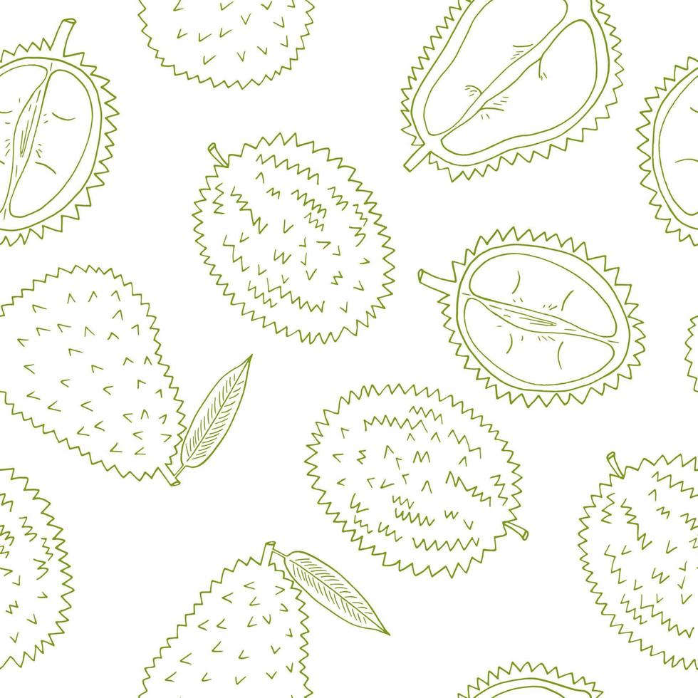 durian fruit seamless pattern hand drawn in doodle style. wrapping paper, background, wallpaper, textile vector