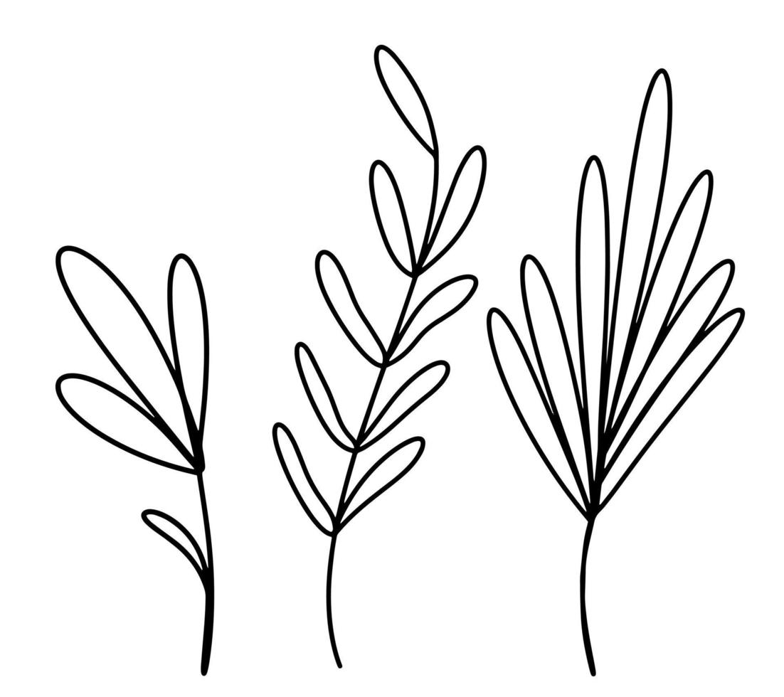 un conjunto de elementos botánicos dibujados con una sola línea, un estilo de garabato minimalista, una ramita de eucalipto, una hoja de palma, una flor abstracta. manchas de colores ilustración vectorial elementos de diseño de logotipo vector
