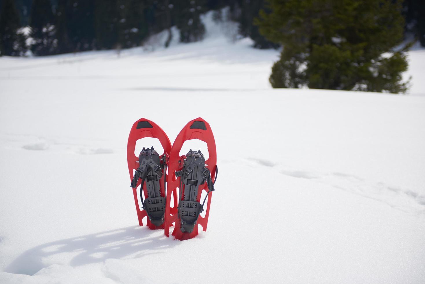 winter snowshoes view photo