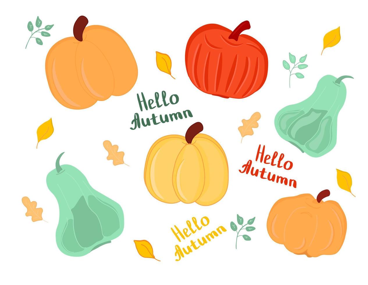 Set of various colored pumpkin. Thanksgiving and Halloween elements for design. Vector, Illustration. vector
