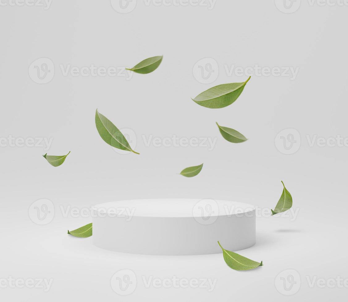 Abstract white round corner pedestal podium with green leaves, Product display podium in room, 3d rendering studio with geometric shapes, Cosmetic product minimal scene with platform photo