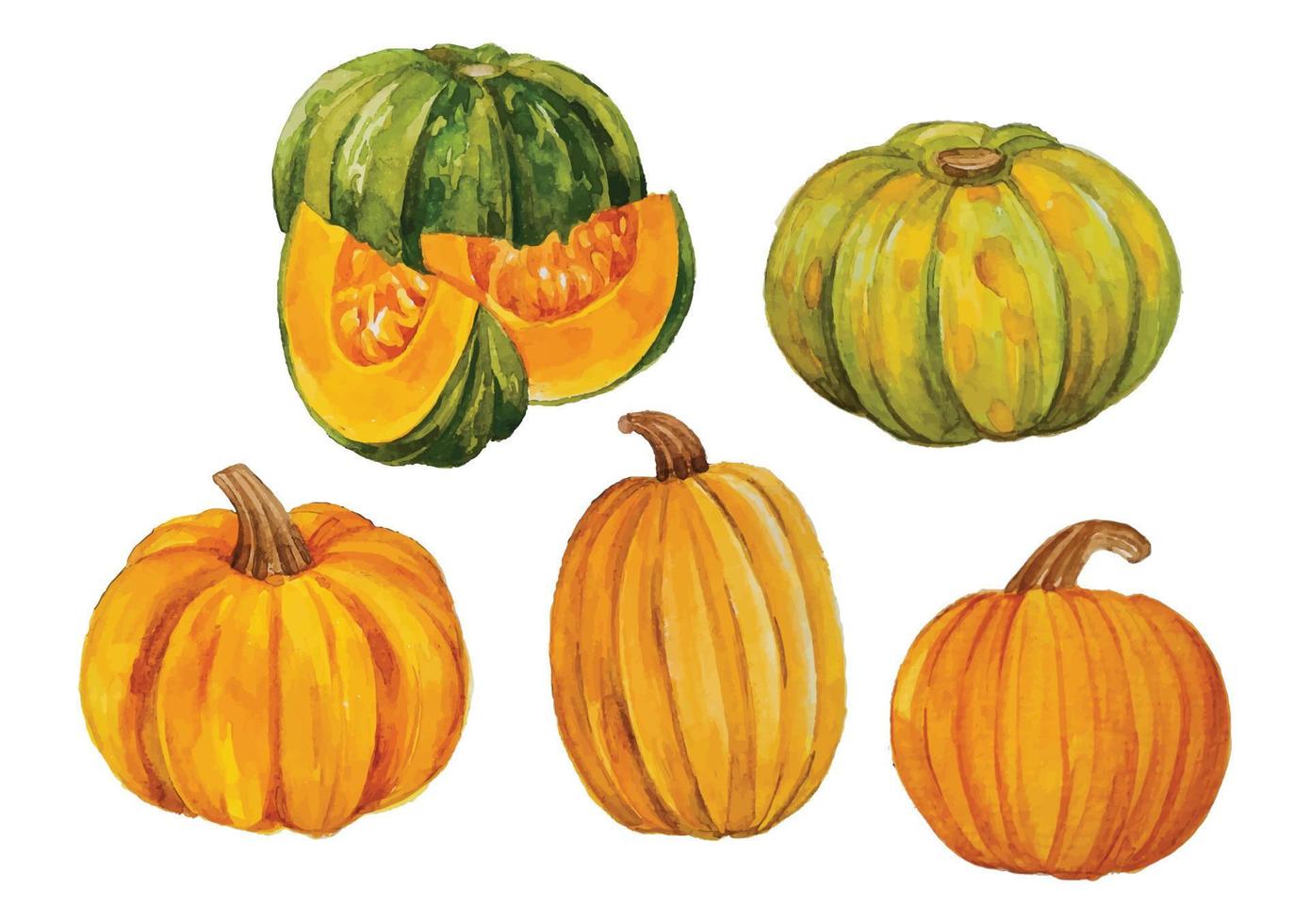 watercolor pumpkin fall elements vector