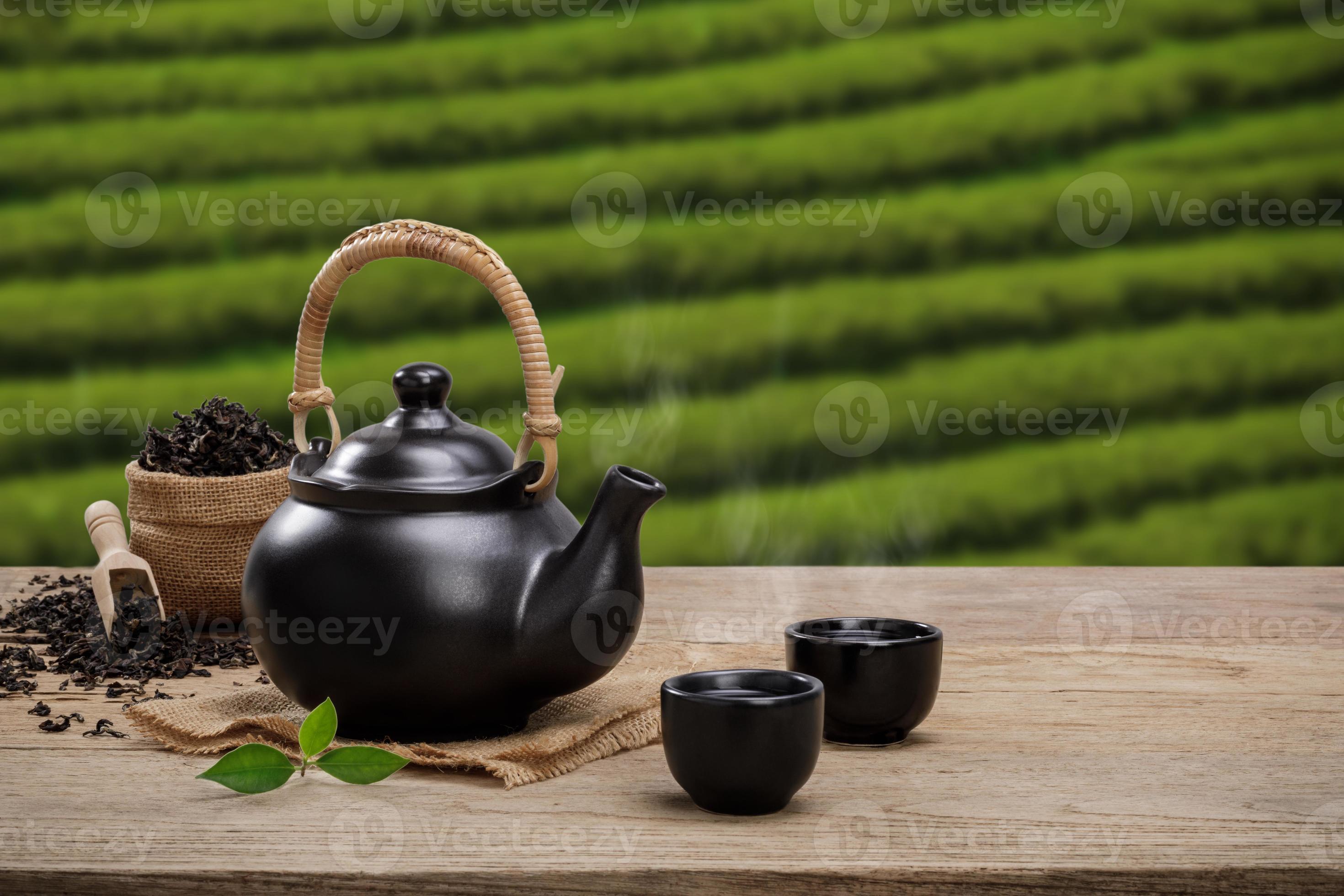 Cup of hot tea with teapot green tea leaves and dried herbs on