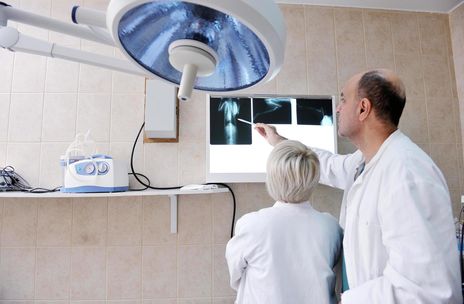 veterinarian and assistant in a small animal clinic photo