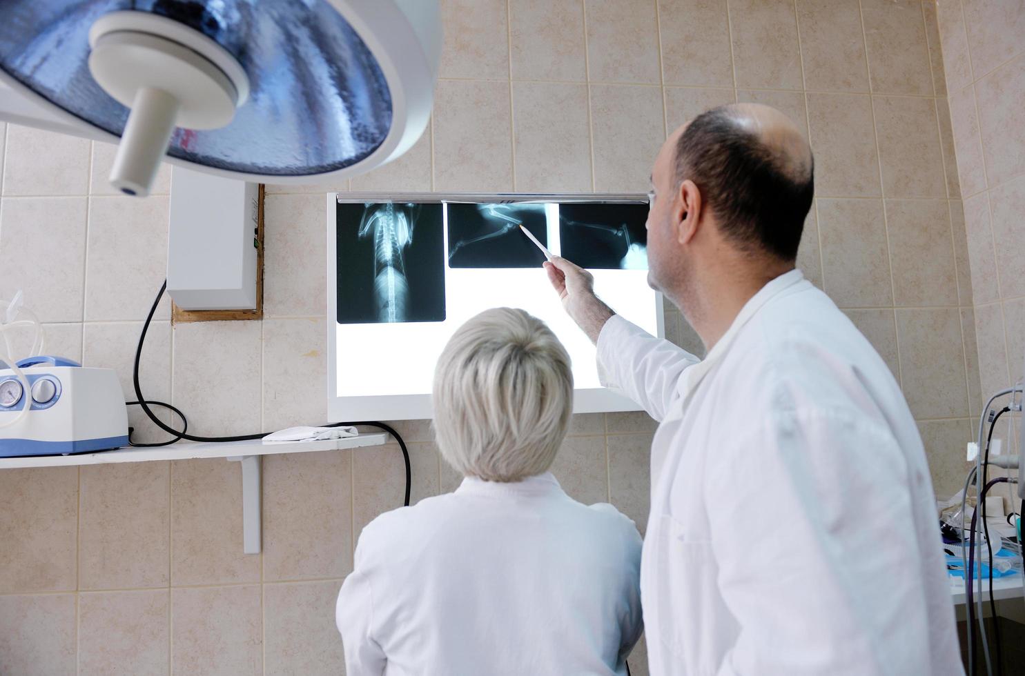 veterinarian and assistant in a small animal clinic photo