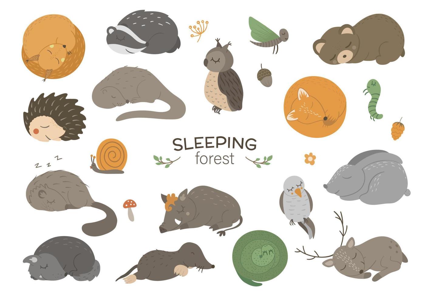 Set of vector hand drawn flat sleeping woodland animals. Funny animalistic collection. Cute forest illustration for children design, print, stationery