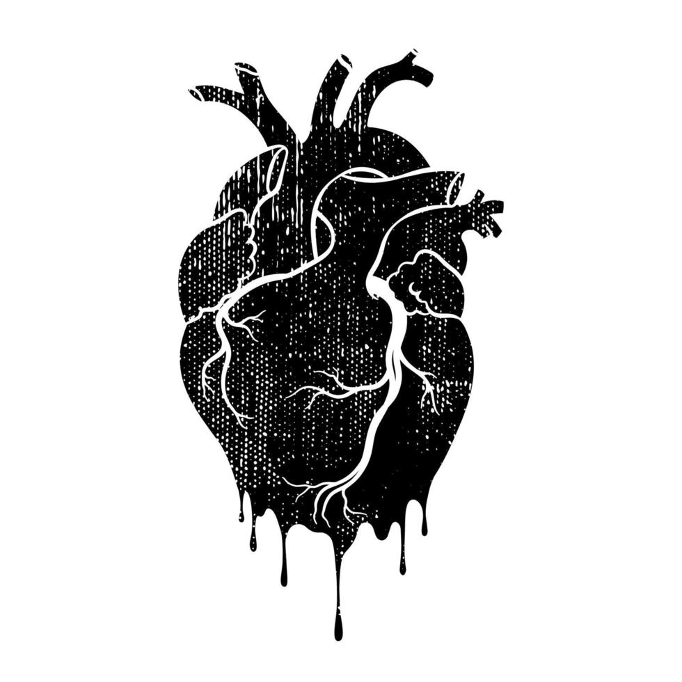 corazón humano grunge. corazón de goteo realista anatómico, arte de línea, ilustración vectorial vector