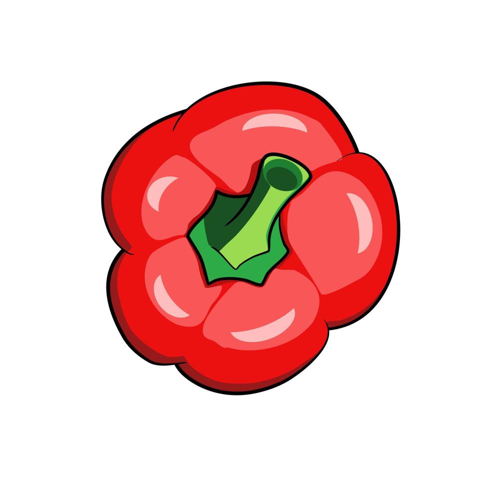 Red bell pepper view from above vector