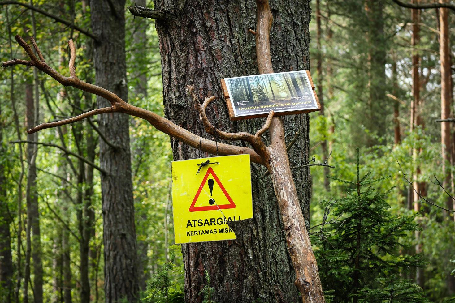 visaginas, lituania, 2022 - dos señales contradictorias en el bosque, señal de protección y señal de tala de bosques en el mismo soporte de madera foto