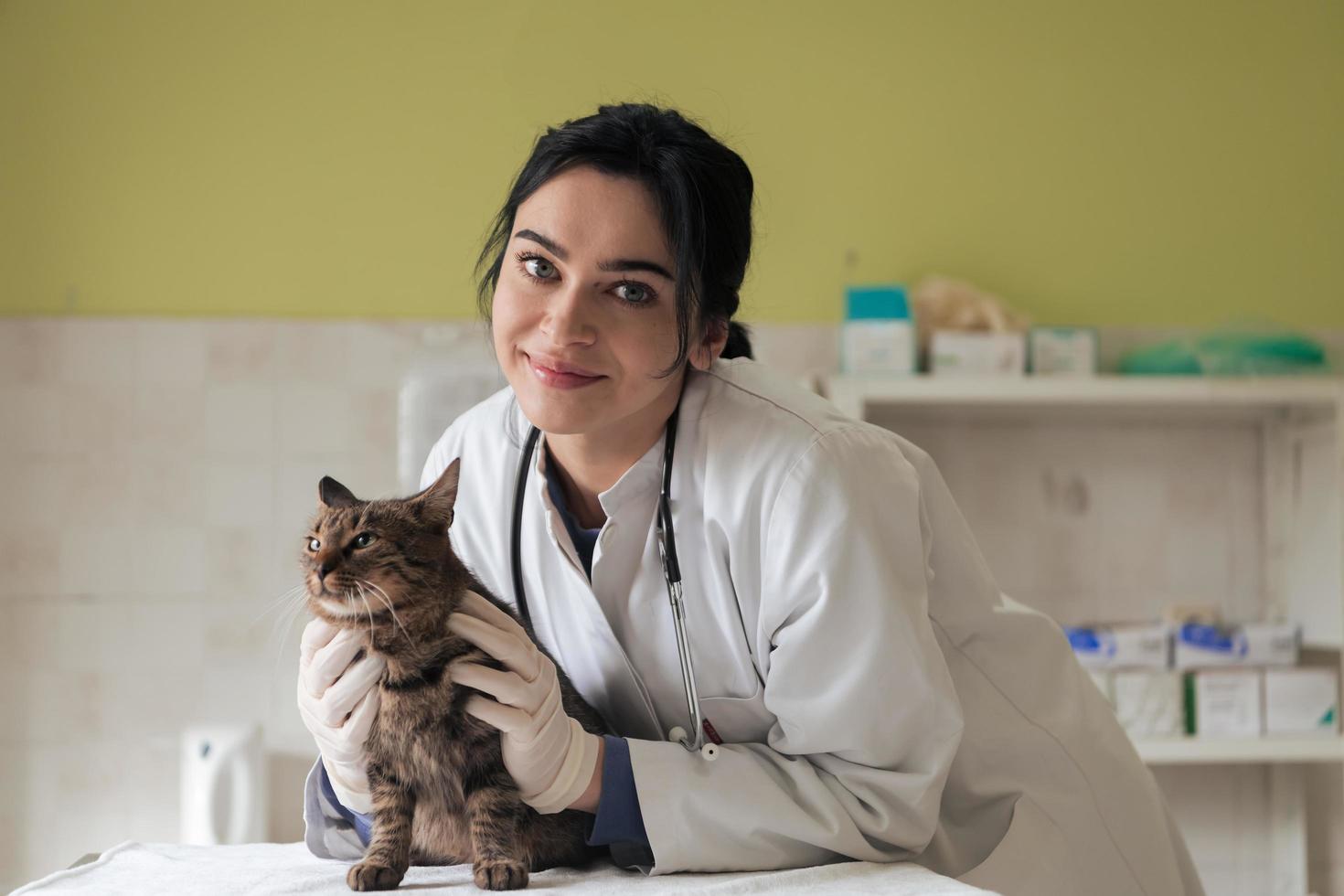 Veterinary clinic. Female doctor portrait at the animal hospital holding cute sick cat photo