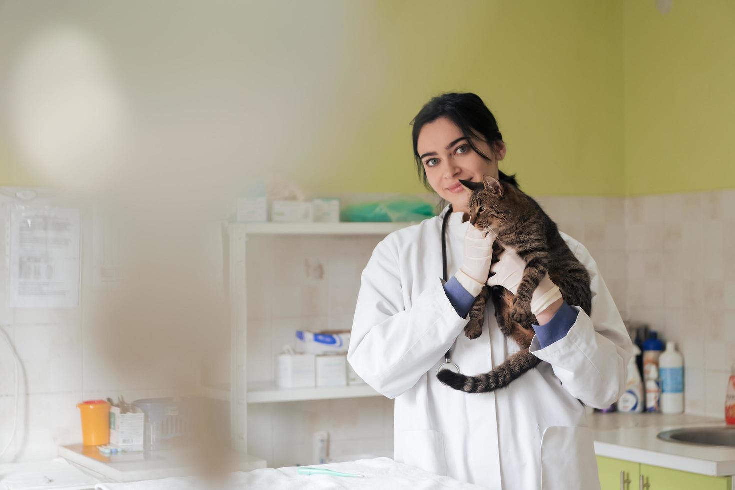 clínica veterinaria. retrato de una doctora en el hospital de animales sosteniendo un lindo gato enfermo foto