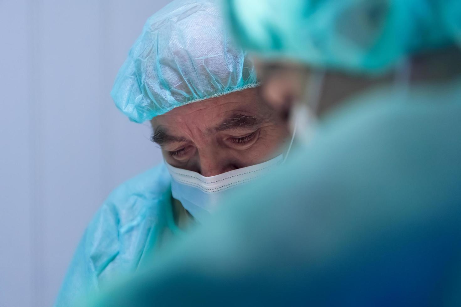 Real abdominal surgery on a cat in a hospital setting photo