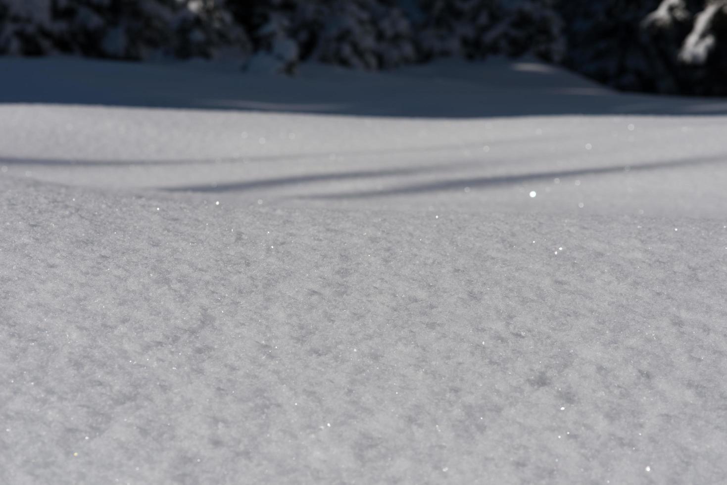 Winter snow background photo